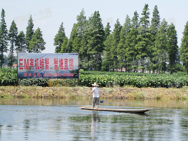 萬(wàn)眾期待的EM大閘蟹來(lái)啦！